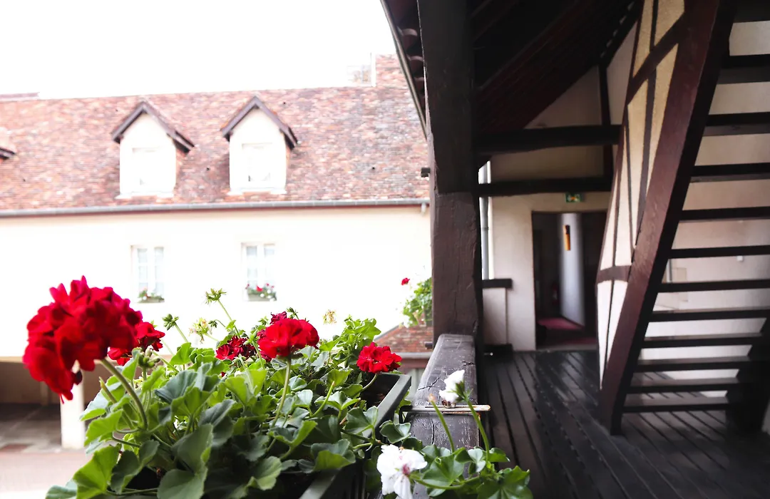 Hôtel Wilson - Teritoria-1